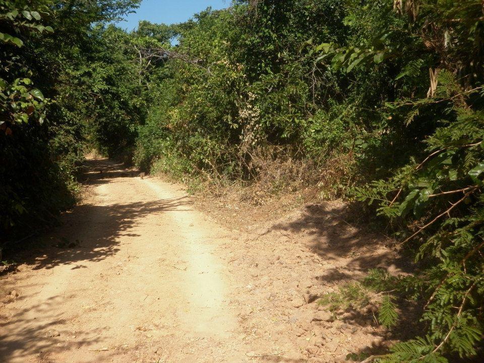 Tanji Bird Reserve Eco-Lodge (Adults Only) Ghana Town Extérieur photo