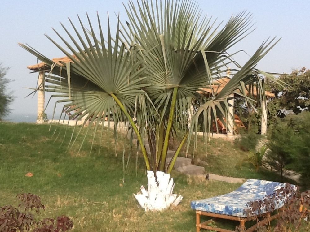 Tanji Bird Reserve Eco-Lodge (Adults Only) Ghana Town Extérieur photo